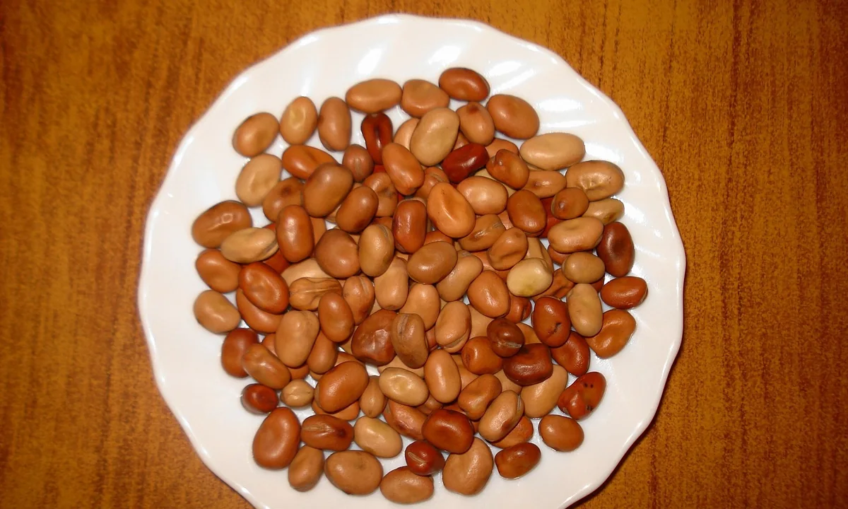 Dried beans