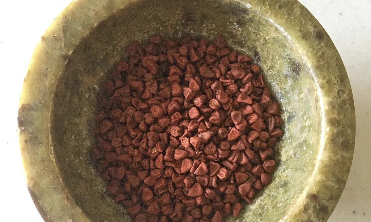 Spice seeds in a bowl
